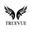 truevuetm.store favicon